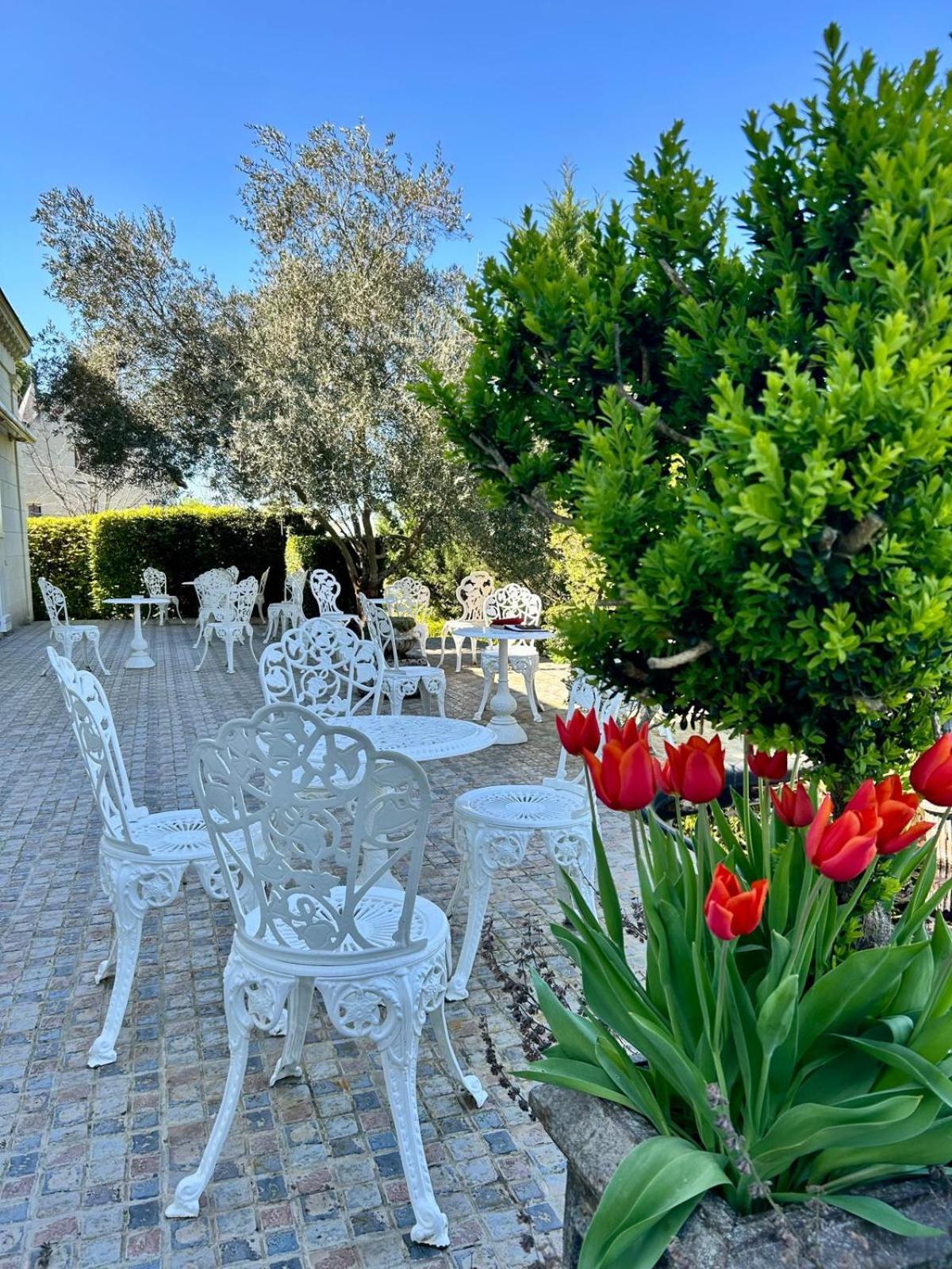 Hotel Logis Demeure De La Vignole Turquant Zewnętrze zdjęcie